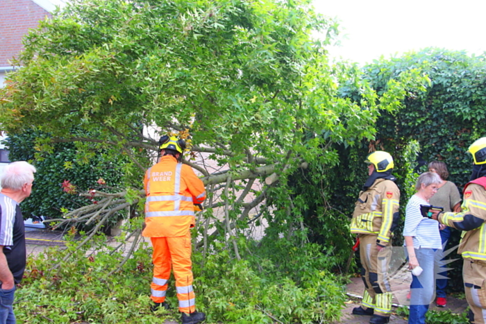 Brandweer in actie na omgewaaide boom