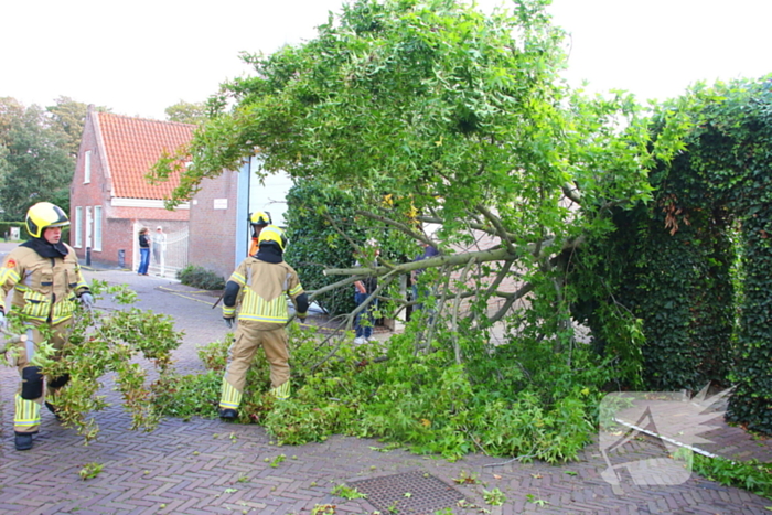 Brandweer in actie na omgewaaide boom