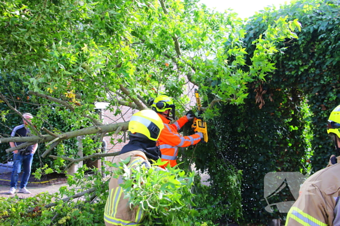 Brandweer in actie na omgewaaide boom