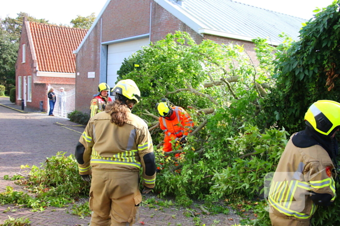 Brandweer in actie na omgewaaide boom