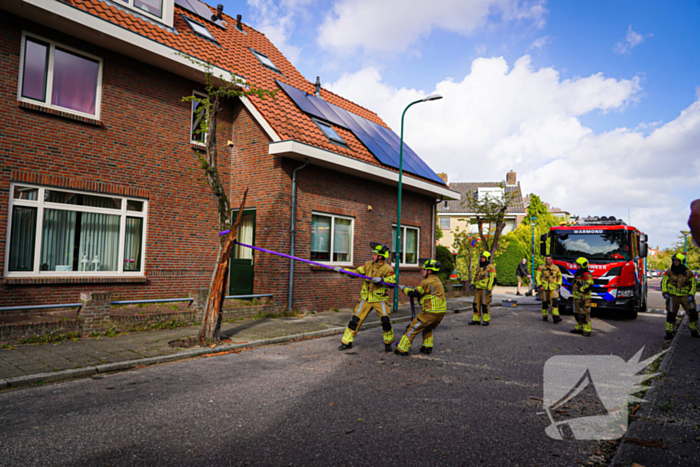 Boom beschadigt auto door storm