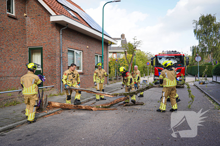 Boom beschadigt auto door storm