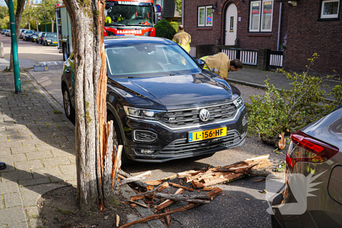 Boom beschadigt auto door storm