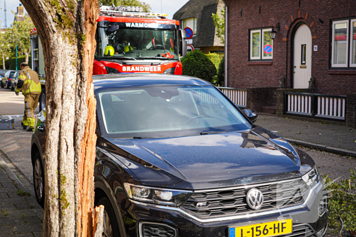 Boom beschadigt auto door storm