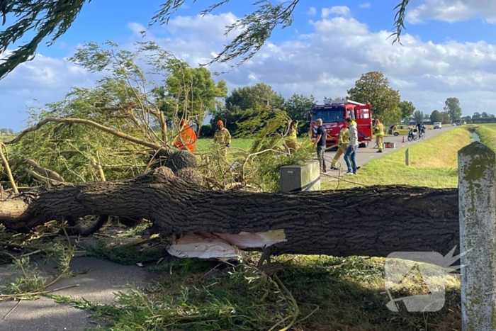 Omgevallen boom leidt tot verkeershinder