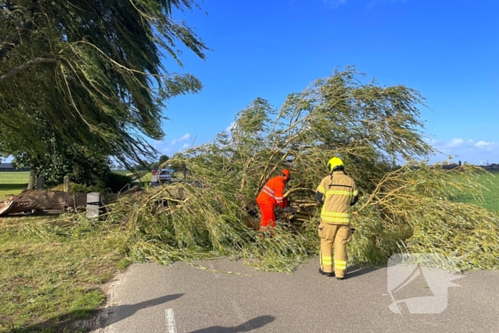 Omgevallen boom leidt tot verkeershinder