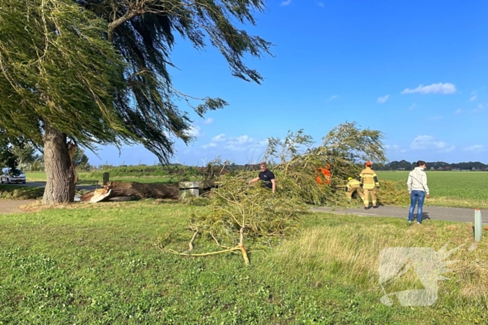 Omgevallen boom leidt tot verkeershinder