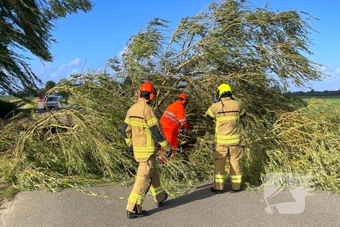 Omgevallen boom leidt tot verkeershinder