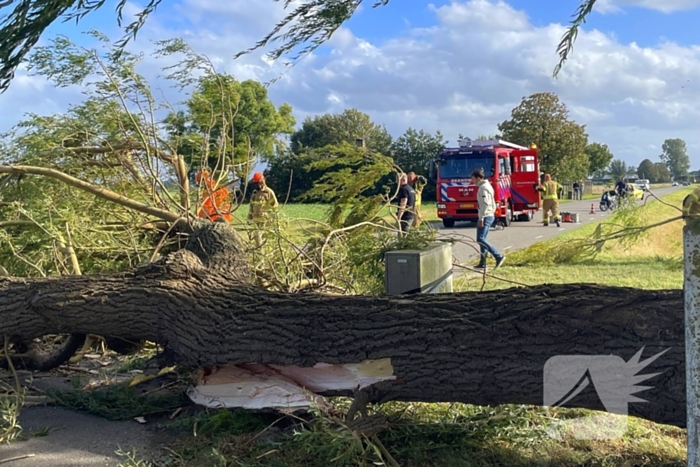 Omgevallen boom leidt tot verkeershinder