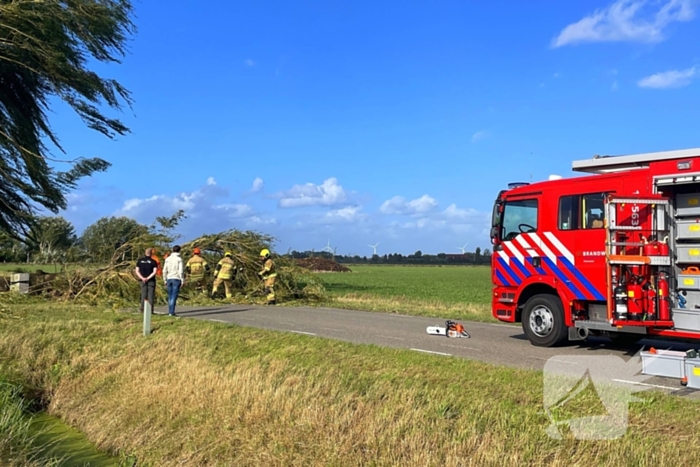 Omgevallen boom leidt tot verkeershinder