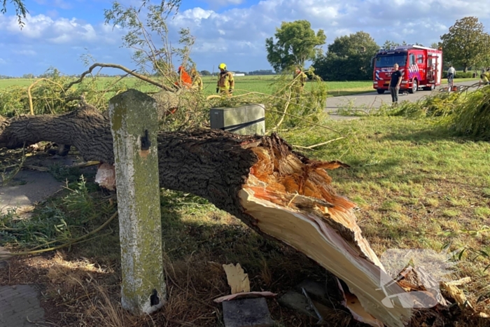 Omgevallen boom leidt tot verkeershinder