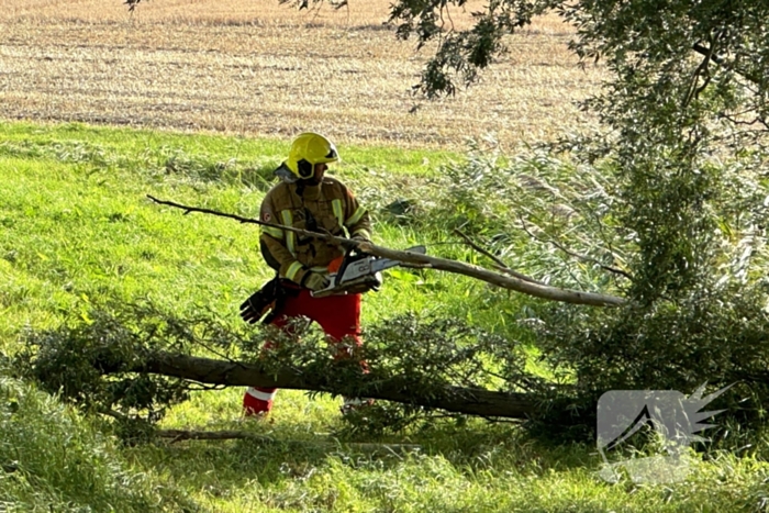 Stormschade zorgt voor afgebroken tak