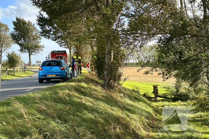 Stormschade zorgt voor afgebroken tak