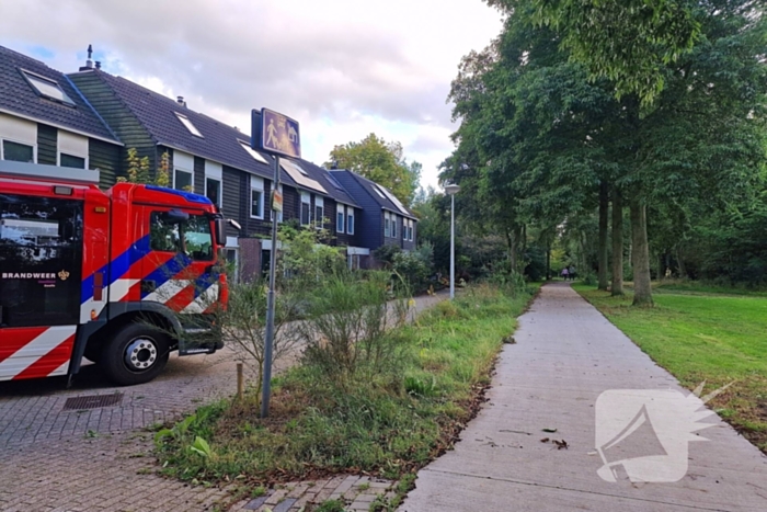 Buurtbewoners alarmeren brandweer om geknakt takje