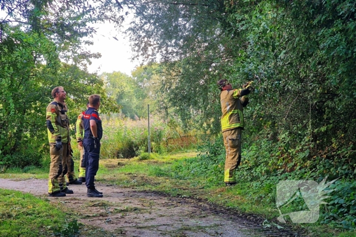 Buurtbewoners alarmeren brandweer om geknakt takje