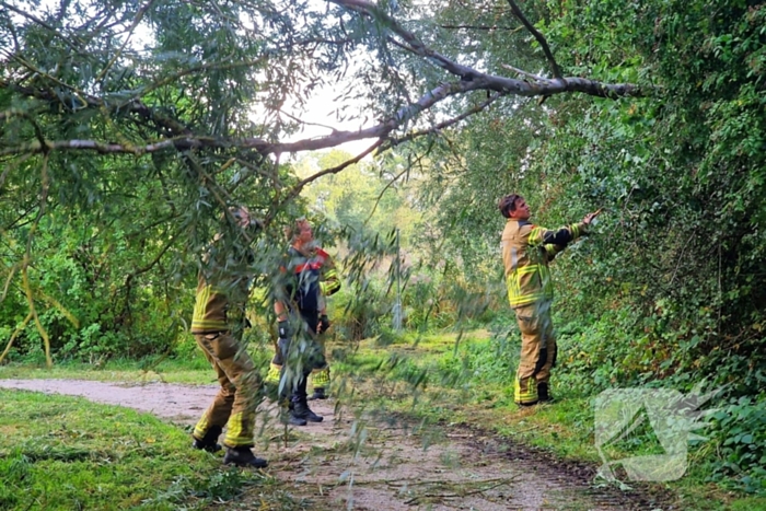 Buurtbewoners alarmeren brandweer om geknakt takje