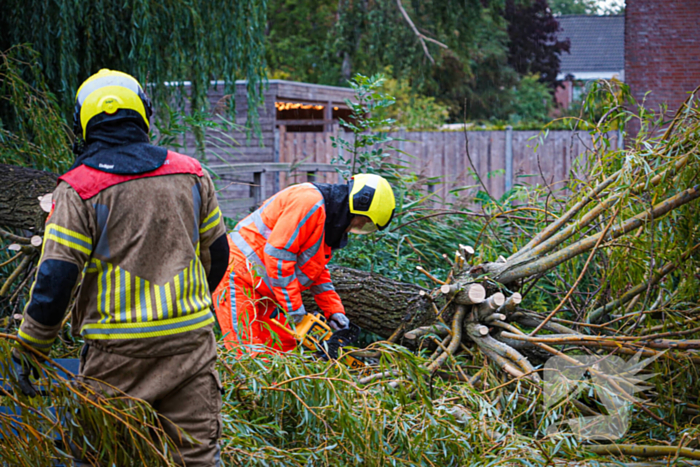 Groot deel van boom belandt in speeltuin