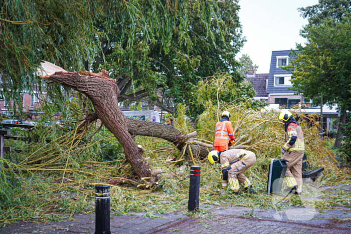 Groot deel van boom belandt in speeltuin