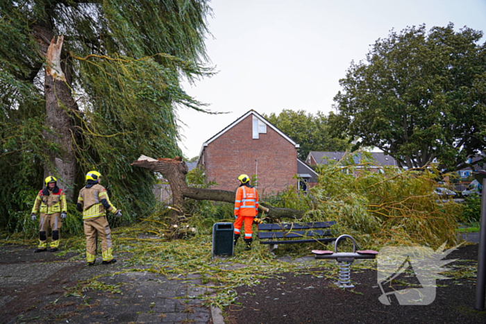 Groot deel van boom belandt in speeltuin