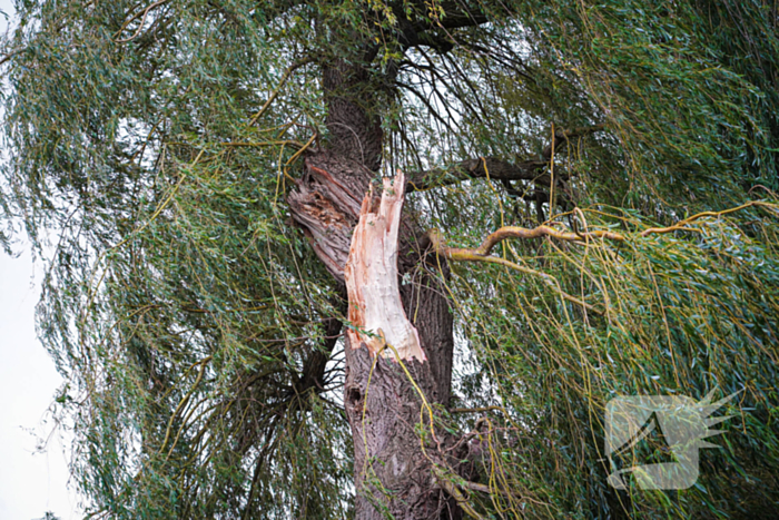 Groot deel van boom belandt in speeltuin