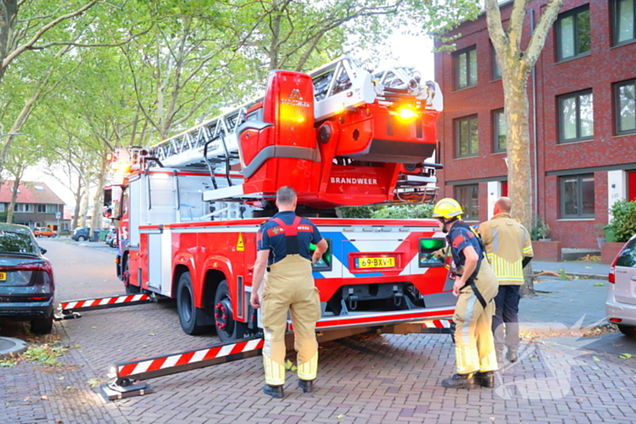 Brandweer verwijdert takken uit boom na natuurincident