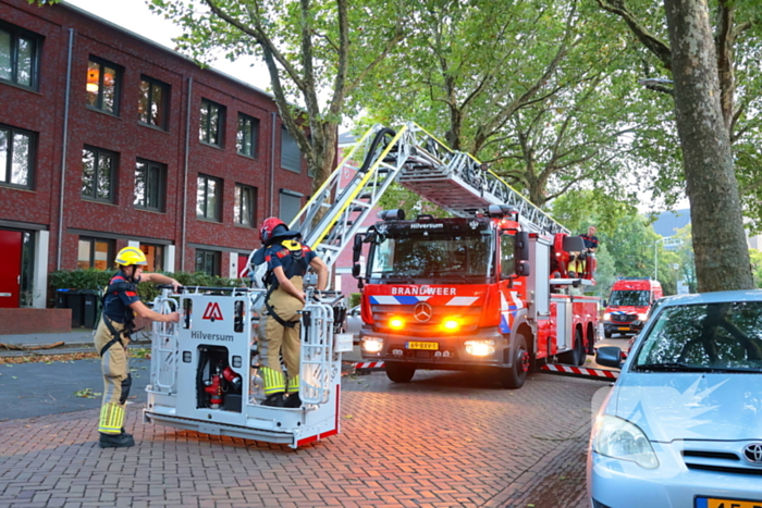Brandweer verwijdert takken uit boom na natuurincident