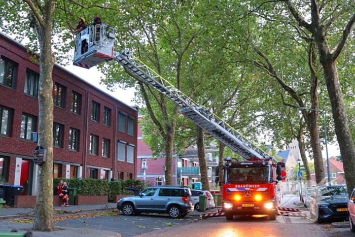 Brandweer verwijdert takken uit boom na natuurincident