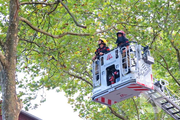 Brandweer verwijdert takken uit boom na natuurincident