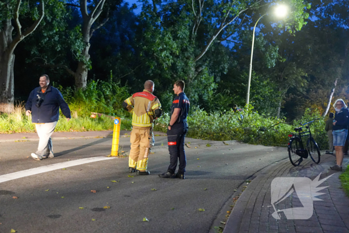 Boom blokkeert weg na zware wind