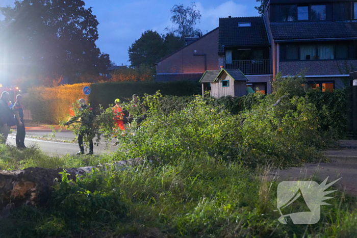 Boom blokkeert weg na zware wind