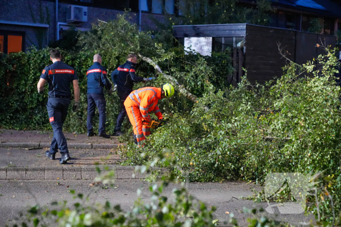 Boom blokkeert weg na zware wind