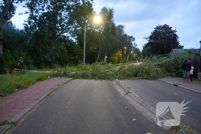 Boom blokkeert weg na zware wind