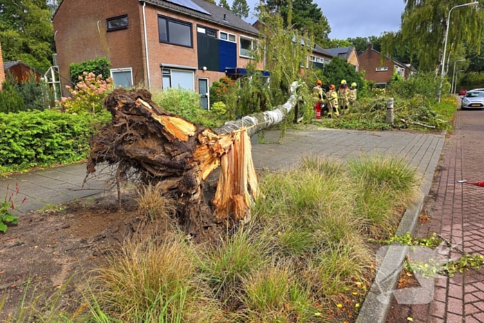 Boom valt om tijdens ingreep van brandweer
