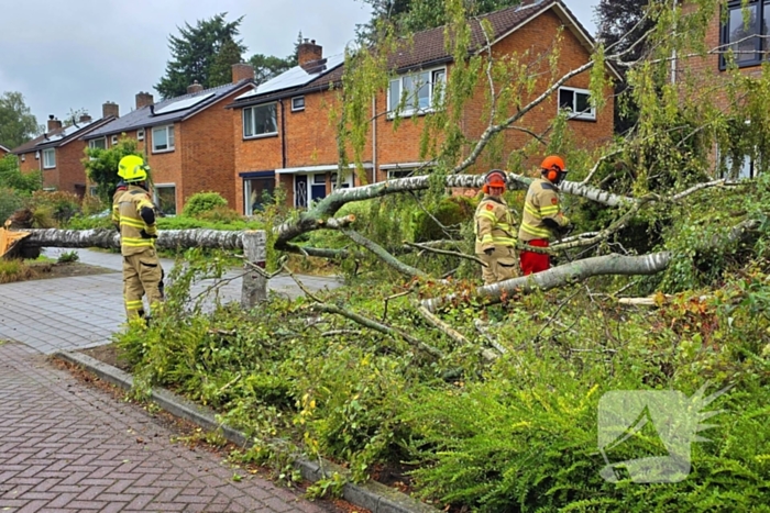 Boom valt om tijdens ingreep van brandweer