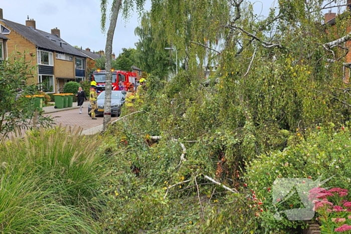 Boom valt om tijdens ingreep van brandweer