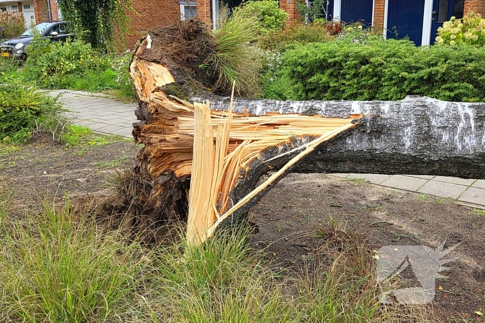 Boom valt om tijdens ingreep van brandweer