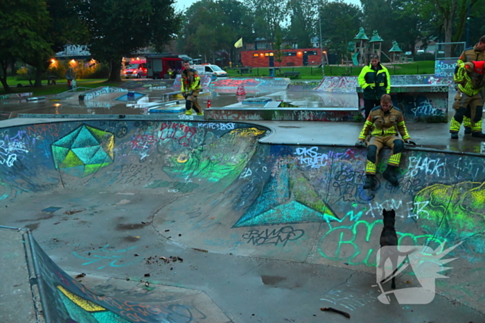 Hond vast in skateramp