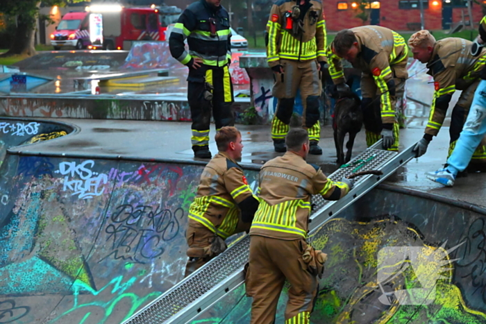 Hond vast in skateramp