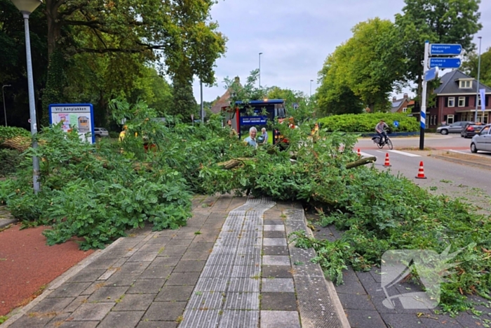 Omgevallen de boom mist fietser op haar na