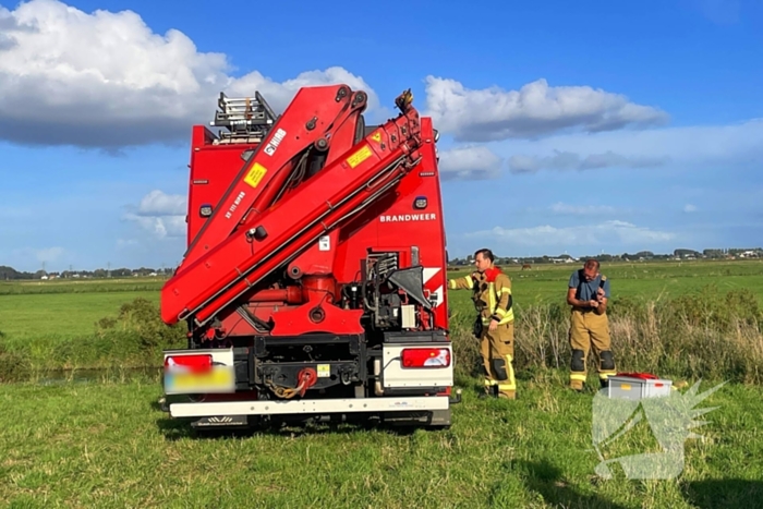 Brandweer takelt paard uit water