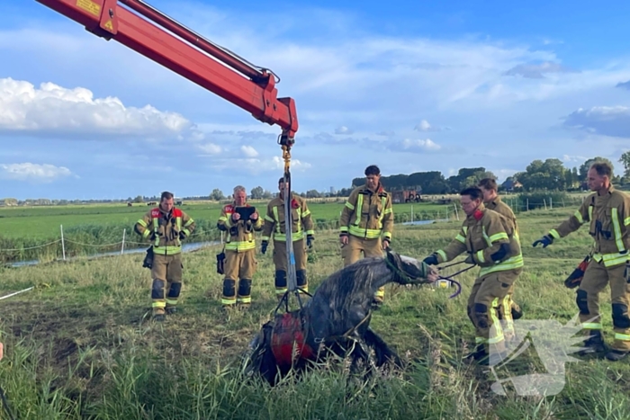 Brandweer takelt paard uit water