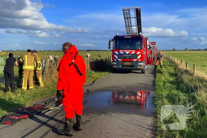 Brandweer takelt paard uit water
