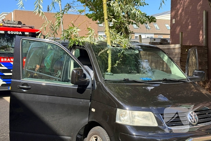 Boomtak doorboort vooruit bestelbus