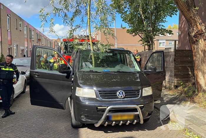 Boomtak doorboort vooruit bestelbus