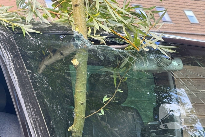 Boomtak doorboort vooruit bestelbus