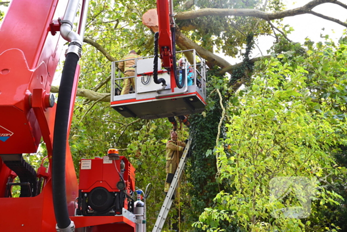 Man overlijdt na ongeluk tijdens boom snoeien