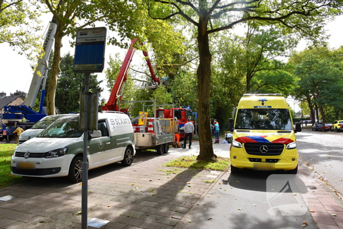 Man overlijdt na ongeluk tijdens boom snoeien