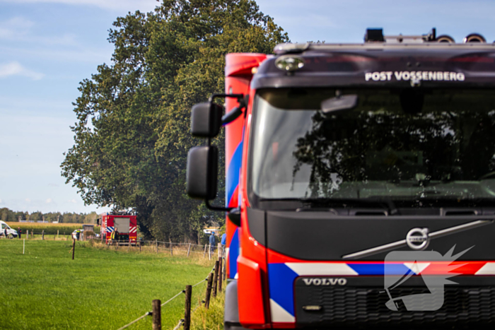 Brand in volkstuinen snel geblust