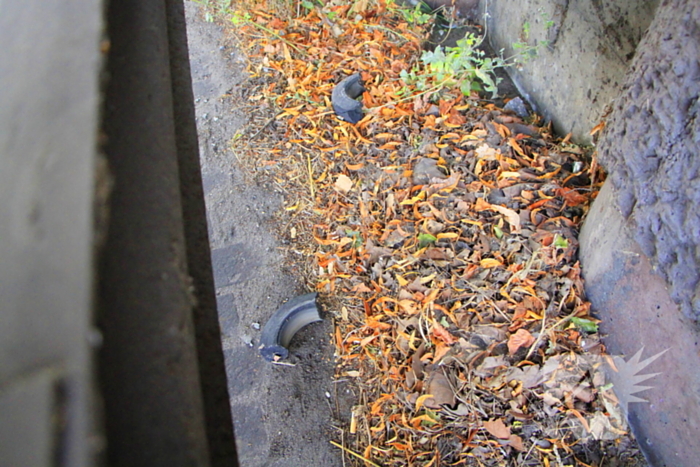 Roermondseweg 112 nieuws Weert 