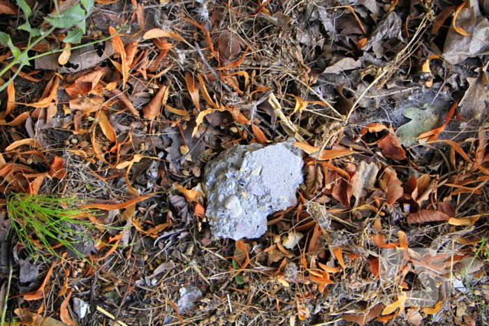 Vrachtwagen rijdt door na aanrijding bij brug